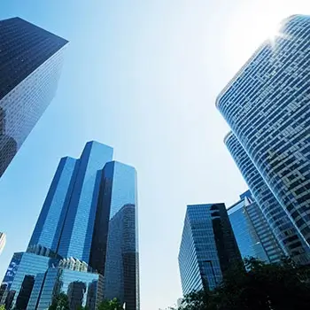 Company Creation / Legal